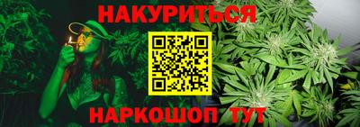 шишки Ставрополь