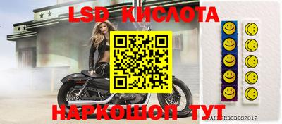 шишки Ставрополь