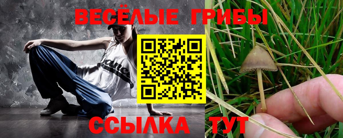купить закладку  Галлюциногенные грибы прущие грибы  Вход с VPN  Саянск 